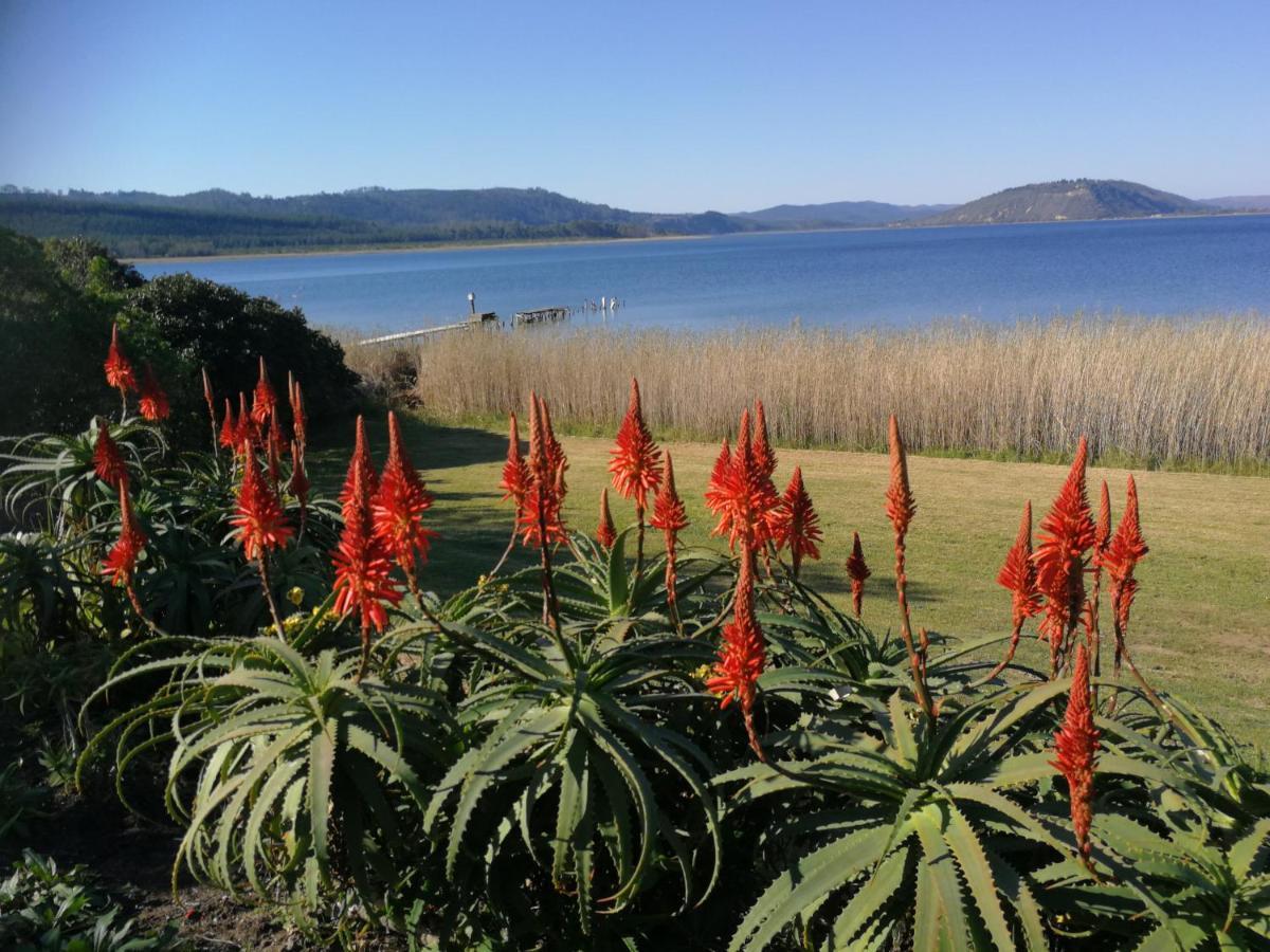 Kairos On The Lake, Swartvlei Lake, Sedgfield, Garden Route Sedgefield Exteriör bild