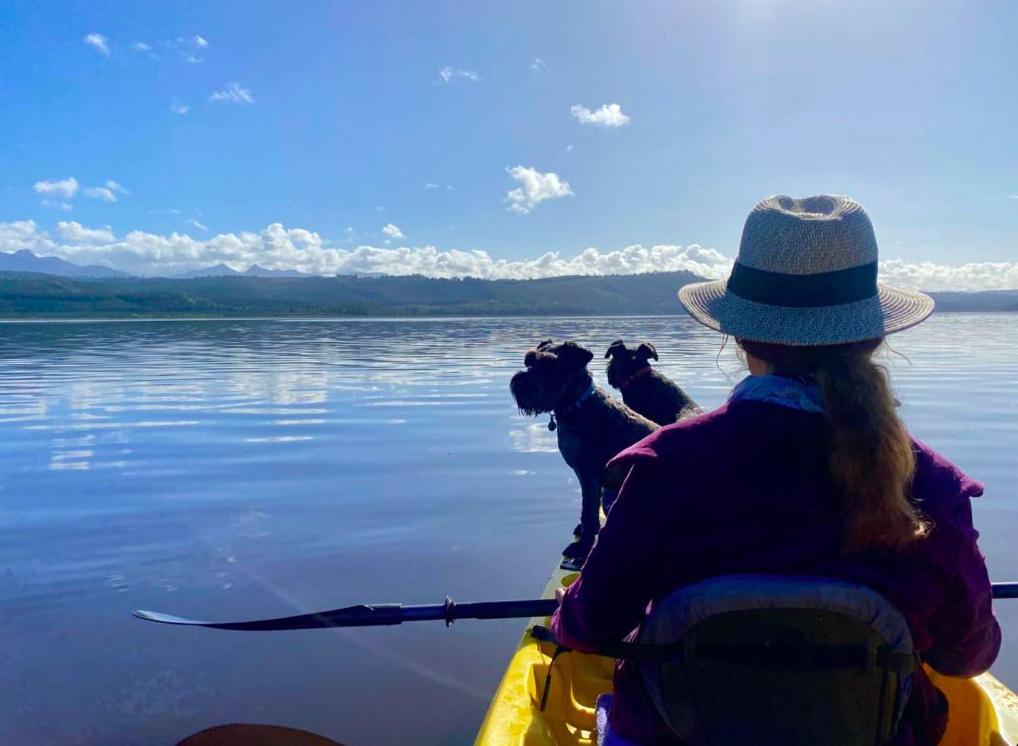 Kairos On The Lake, Swartvlei Lake, Sedgfield, Garden Route Sedgefield Exteriör bild